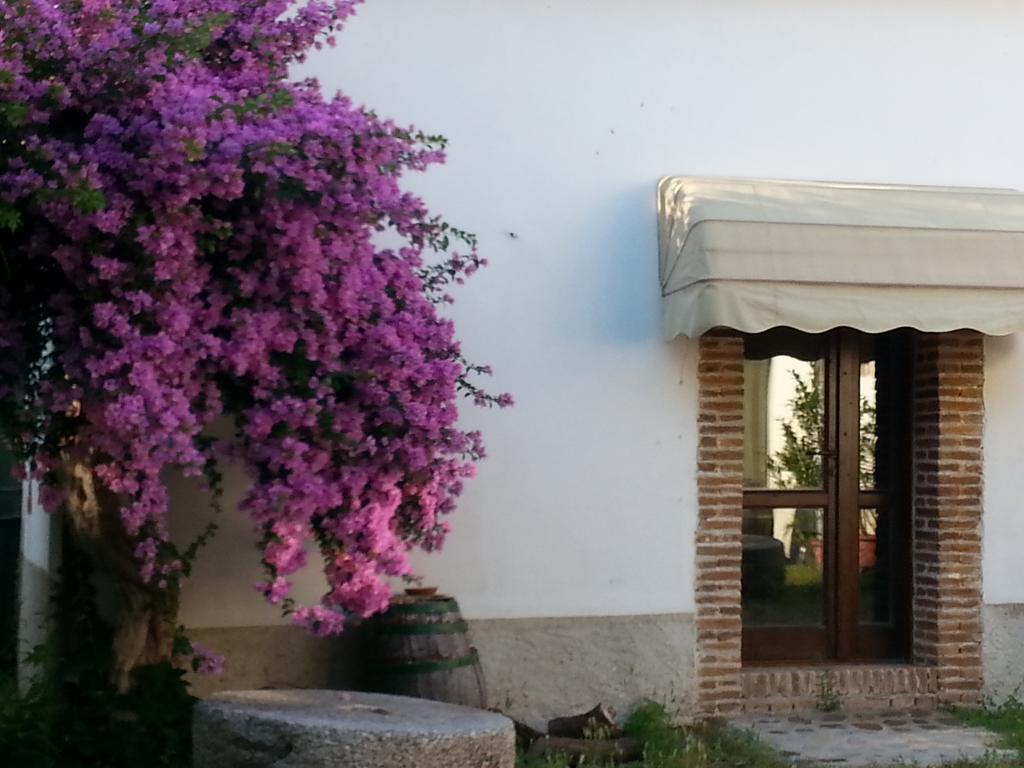 Agriturismo Malena Amica Eksteriør bilde